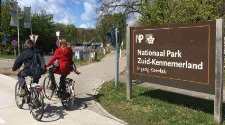 De Kennemerduinen
